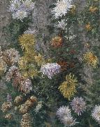 Gustave Caillebotte White and yellow chrysanthemum oil on canvas